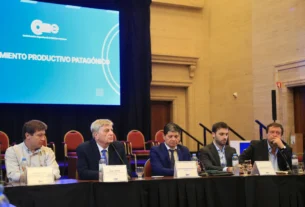 Gobernadores patagónicos pidieron al Congreso el tratamiento “urgente» de la ley de Emergencia Ígnea