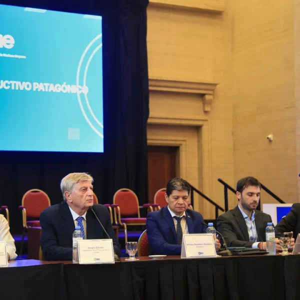 Gobernadores patagónicos pidieron al Congreso el tratamiento “urgente» de la ley de Emergencia Ígnea