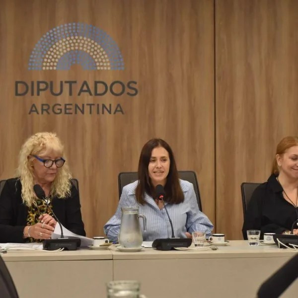 Diputados: la cordobesa Basualdo fue designada presidenta de la comisión de Asuntos Municipales