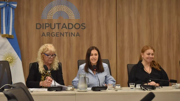 Diputados: la cordobesa Basualdo fue designada presidenta de la comisión de Asuntos Municipales